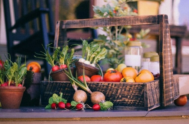 Gemüse auf dem Balkon pflanzen so einfach geht’s Dr. Garten